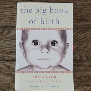 The Big Book of Birth by Erica Lyon